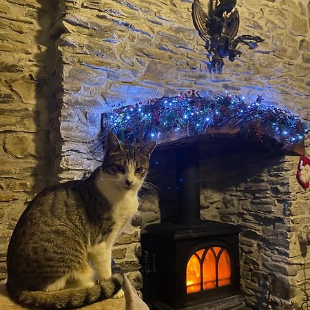 Five Saints Farmhouse B&B Pumpsaint Extérieur photo
