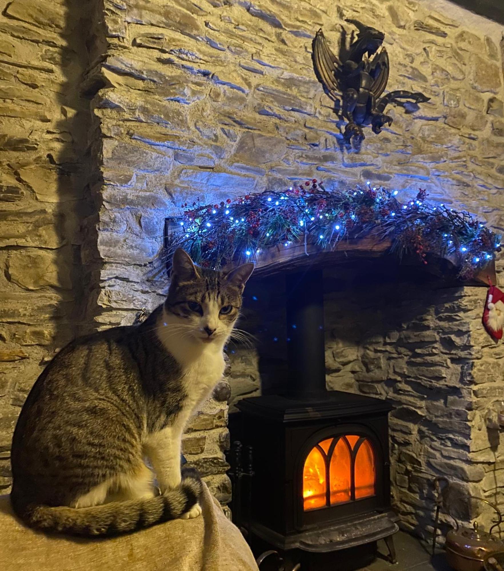Five Saints Farmhouse B&B Pumpsaint Extérieur photo