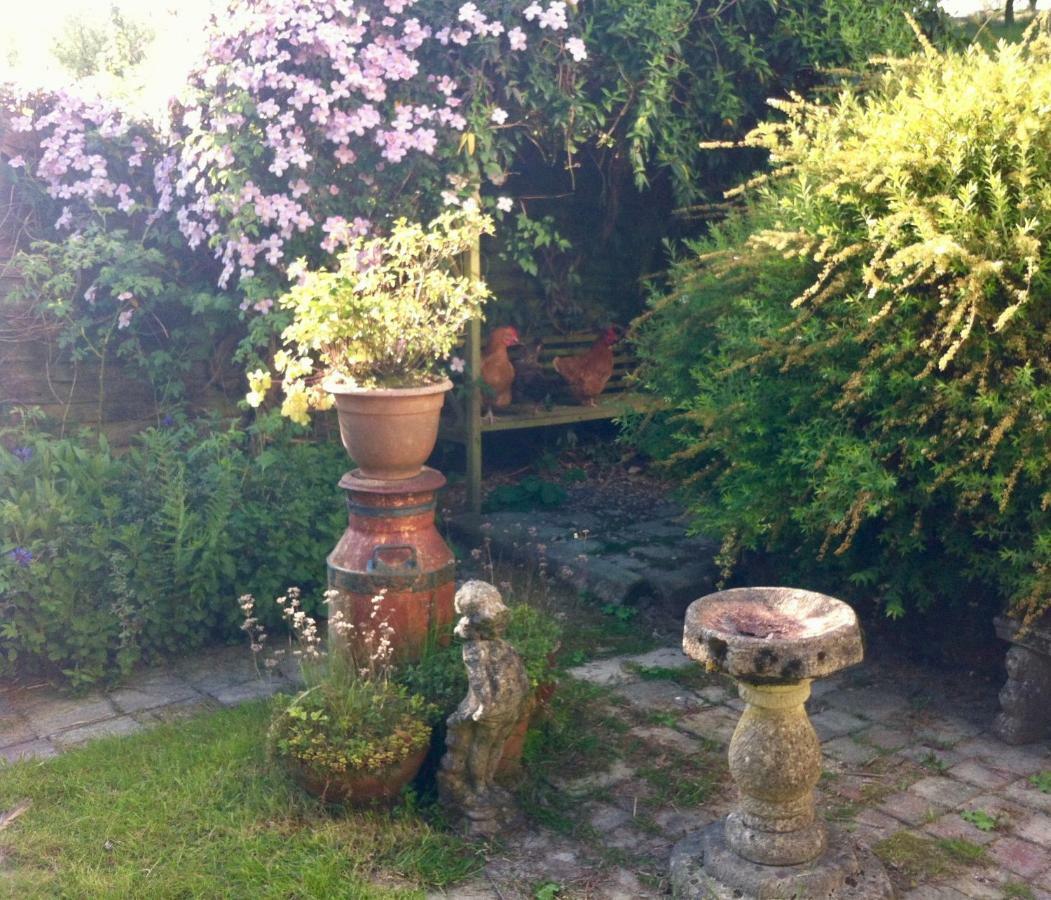 Five Saints Farmhouse B&B Pumpsaint Extérieur photo